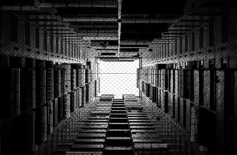 backup ledger in cold storage tutorial