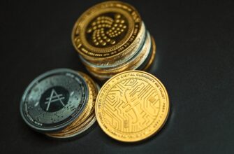best bitcoin wallet for brazil