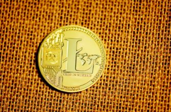 best bitcoin wallet for gambling