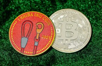 best bitcoin wallet for indians