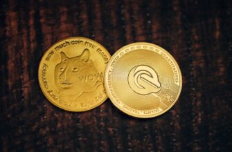 best bitcoin wallet for iraq