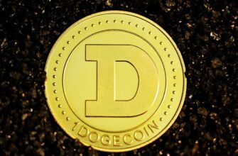 best bitcoin wallet for kids