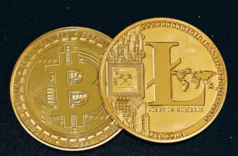 best bitcoin wallet for netherlands