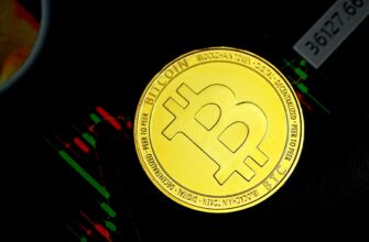 best bitcoin wallet for recovery