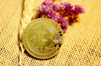 best bitcoin wallet for sri lanka