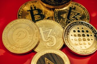 best bitcoin wallet for transactions