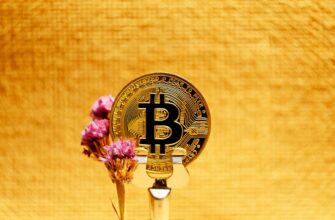 bitcoin halving 2024 date and countdown btc clock