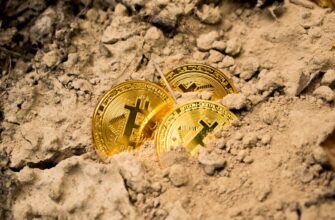 bitcoin halving countdown app