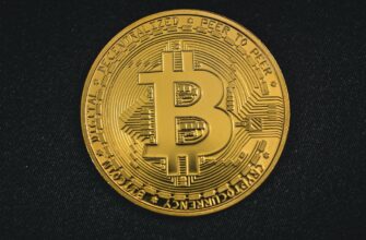 bitcoin halving countdown chart