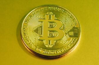 bitcoin halving countdown when