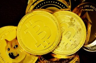 collect bitcoin airdrop on starknet