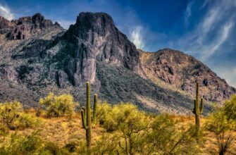 crypto taxes arizona