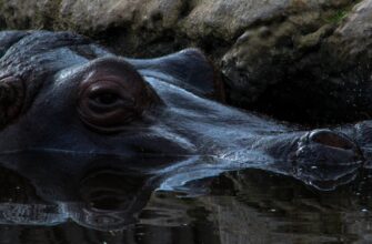 earn interest usdc on kraken staking highest apy
