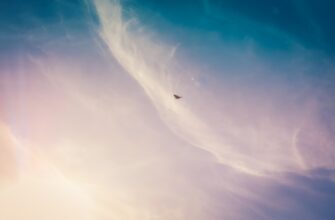 earn sol airdrop on optimism