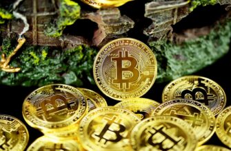 exchange bitcoin instantly in bangalore