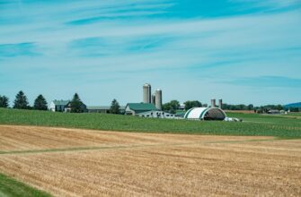 farm ada on beefy finance