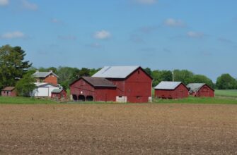 farm bnb on beefy finance