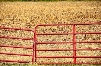 farm eth on compound low risk