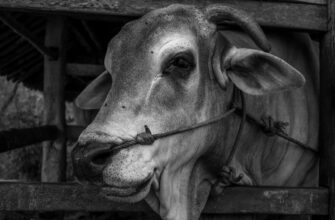 farm ethereum on binance earn no lock