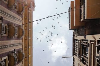 free dot airdrop in argentina