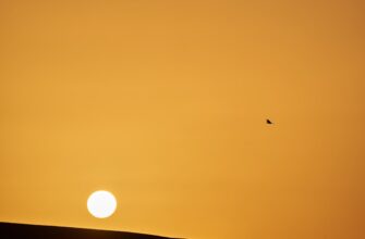 free sol airdrop on bybit