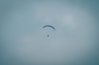 free ton airdrop on starknet