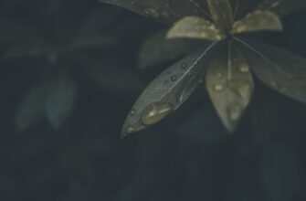 how to get ethereum airdrop legit