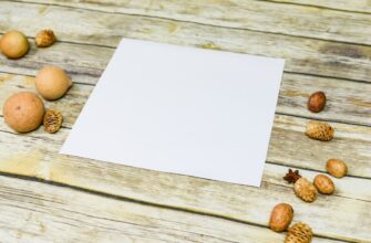 how to guard seed phrase anonymously