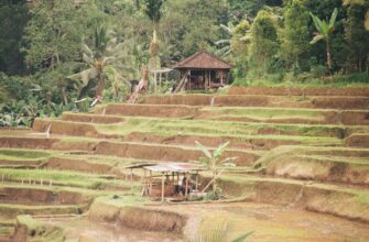 how to report defi yield in indonesia