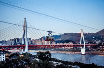 how to report nft profit in south africa