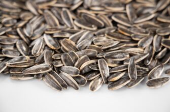 is it safe to store seed phrase without kyc