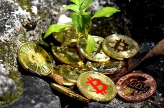 lend crypto matic on yearn finance best apy