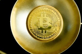 meaning of bitcoin halving countdown