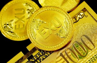 pay taxes on bitcoin gains in argentina