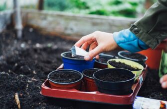 protect seed phrase safely for beginners