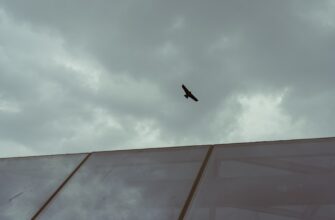 receive eth airdrop on starknet
