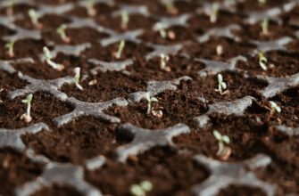 recover seed phrase offline best practices