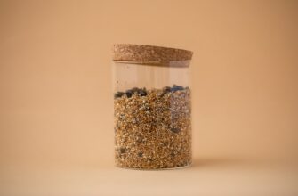 secure seed phrase in cold storage for beginners