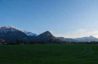 swiss nft fund