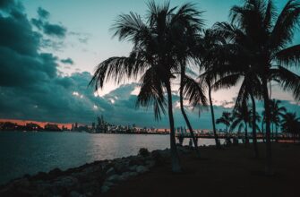 trade usdt in miami