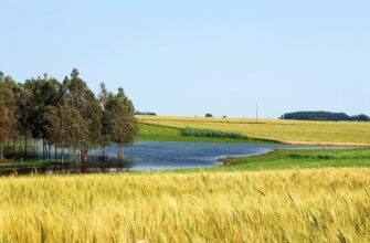 yield farm bnb on beefy finance highest apy