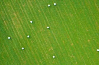 yield farm dot on compound