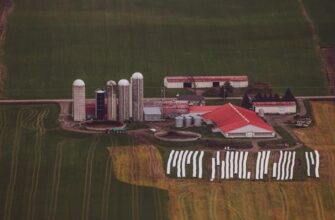 yield farm ethereum on rocket pool in 2025