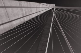 backup ledger safely 2025 guide