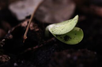 backup seed phrase without kyc for beginners