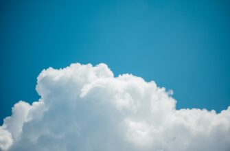 claim sui airdrop on optimism