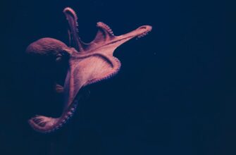 day trading eth on kraken