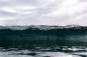 dca strategy xrp on kraken tutorial weekly timeframe