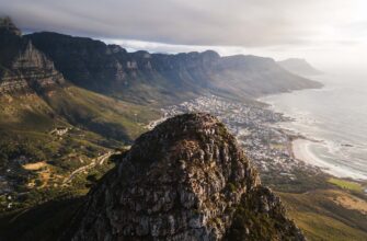defi yield tax penalties south africa