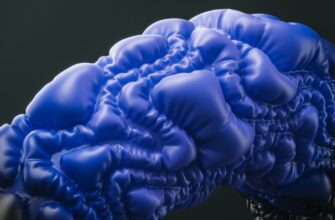 earn interest ada on kraken staking flexible
